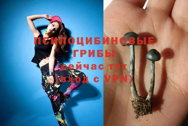стаф Абаза