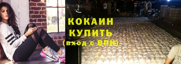 шишки Абдулино