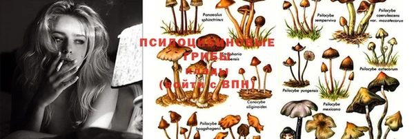 шишки Абдулино