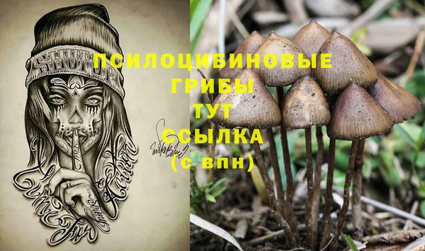 ешки Абинск