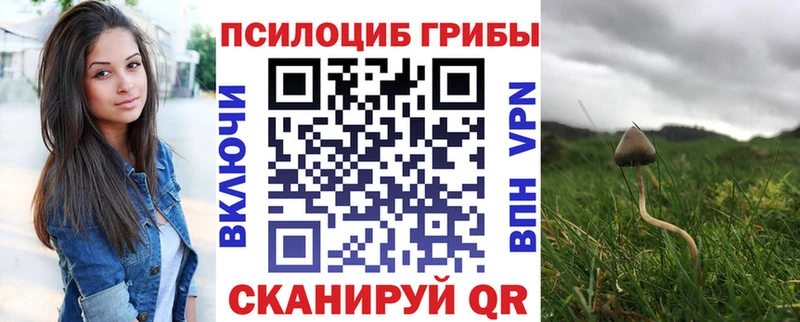 Галлюциногенные грибы мицелий  магазин продажи наркотиков  Нижневартовск 