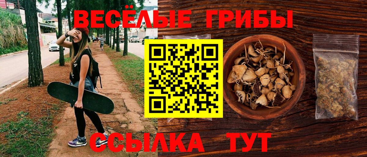 Псилоцибиновые грибы Psilocybine cubensis Нижневартовск